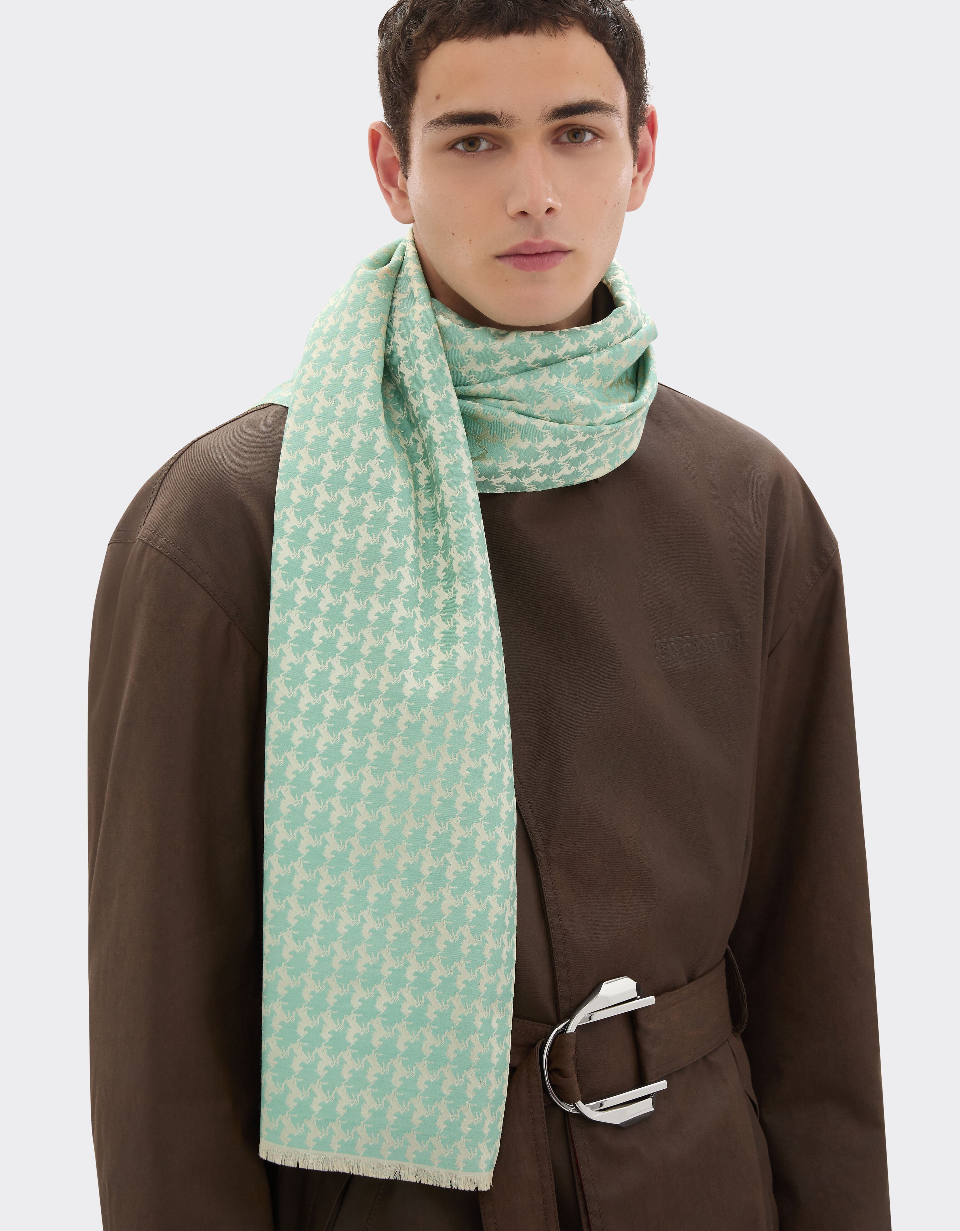 羊毛和真丝围巾 Ferrari 羊毛和真丝围巾 Granite Green 50611f