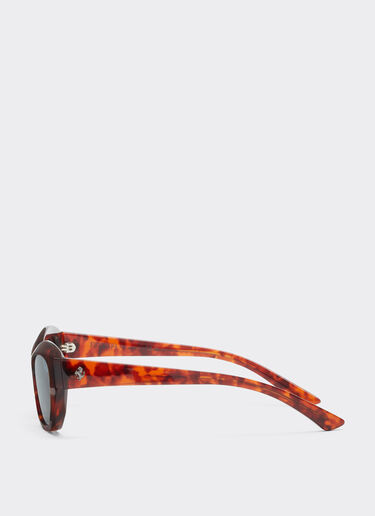 Ferrari Ferrari sunglasses in  Havana redacetate  with blue polarized lenses Red brown LA0L3f