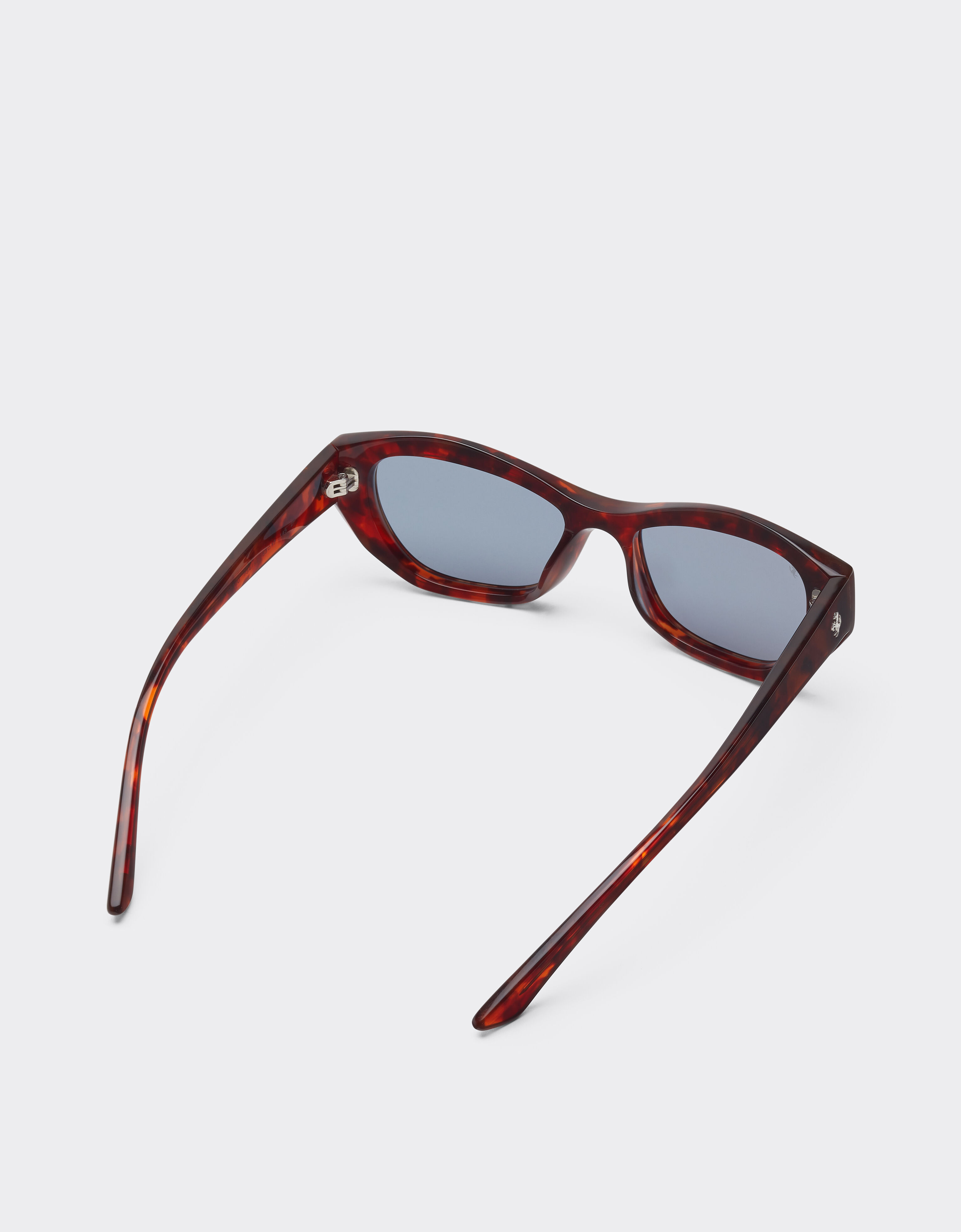 Ferrari Ferrari sunglasses in  Havana redacetate  with blue polarized lenses Red brown LA0L3f