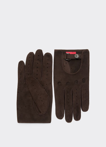 Ferrari Suede leather driving gloves Espresso 22709f