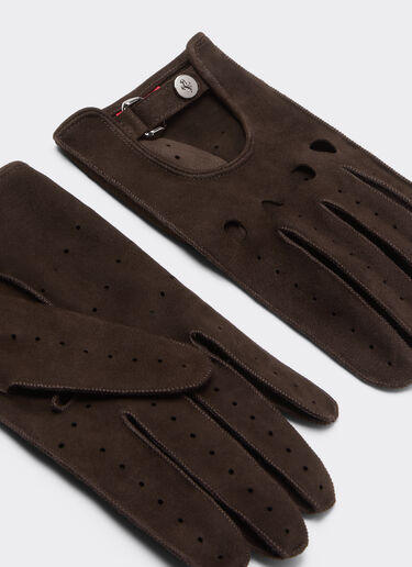 Ferrari Suede leather driving gloves Espresso 22709f