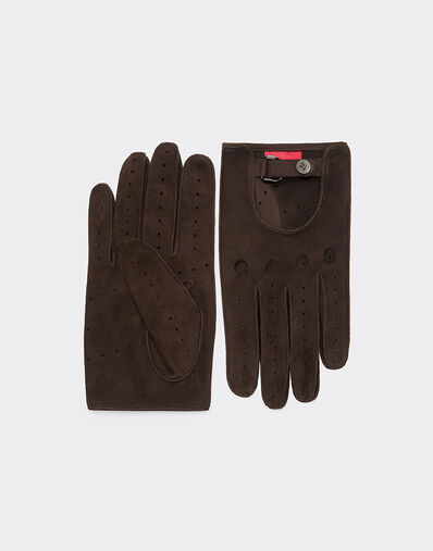 Ferrari Suede leather driving gloves Espresso 22709f